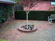 Paving Stone Patio